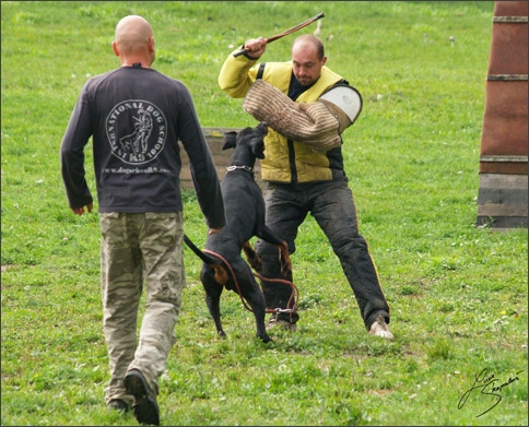 Training in Prague 10/2007